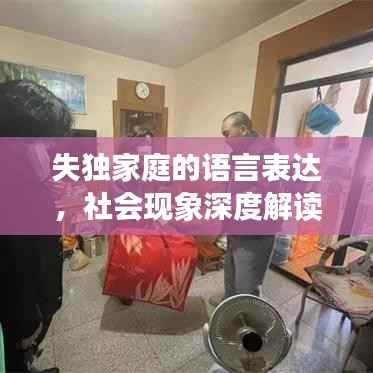 失独家庭的语言表达，社会现象深度解读与思考