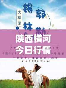 陕西横河今日行情，最新价格动态一网打尽