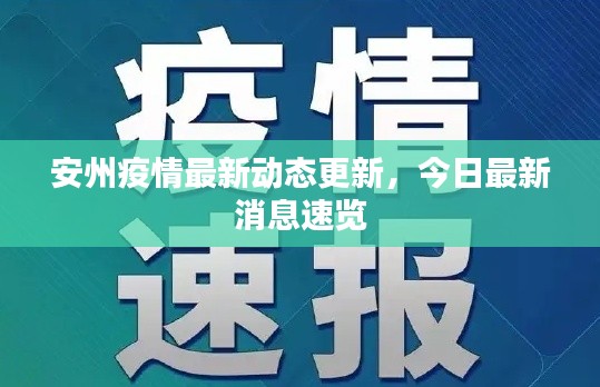 安州疫情最新动态更新，今日最新消息速览