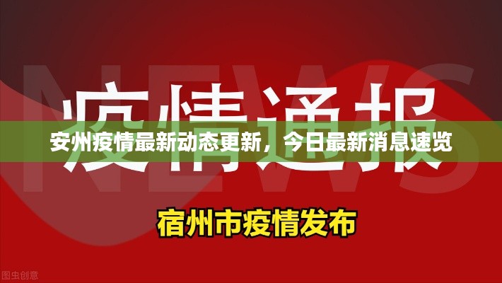 安州疫情最新动态更新,今日最新消息速览