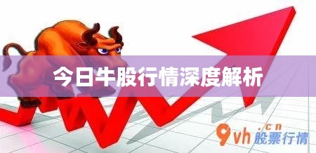 今日牛股行情深度解析
