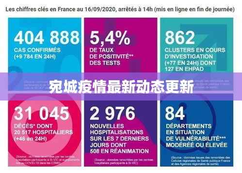 宛城疫情最新动态更新