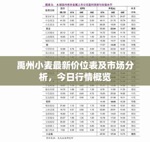 禹州小麦最新价位表及市场分析，今日行情概览