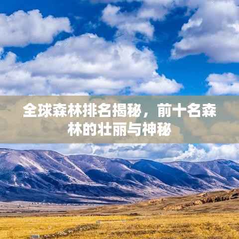 全球森林排名揭秘，前十名森林的壮丽与神秘