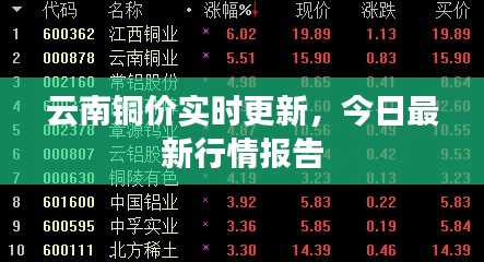 云南铜价实时更新，今日最新行情报告