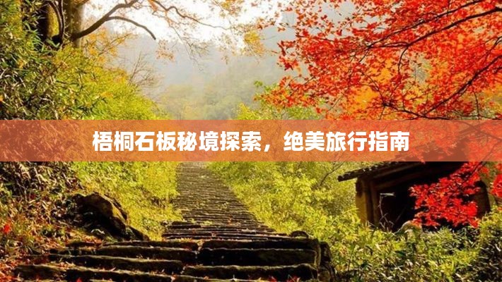 梧桐石板秘境探索，绝美旅行指南