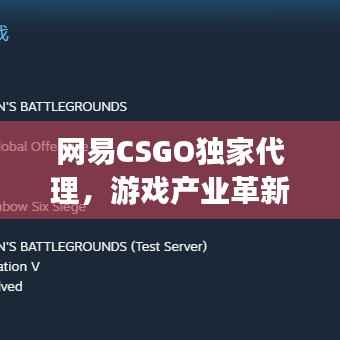 网易CSGO独家代理，游戏产业革新引领共赢时代