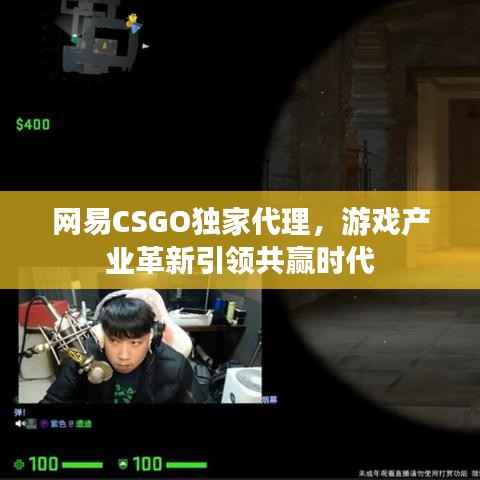 网易CSGO独家代理,游戏产业革新引领共赢时代