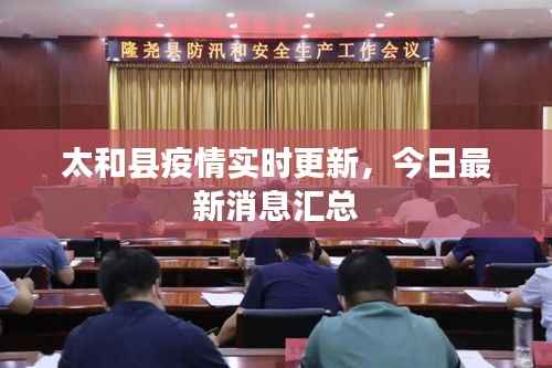 太和县疫情实时更新，今日最新消息汇总