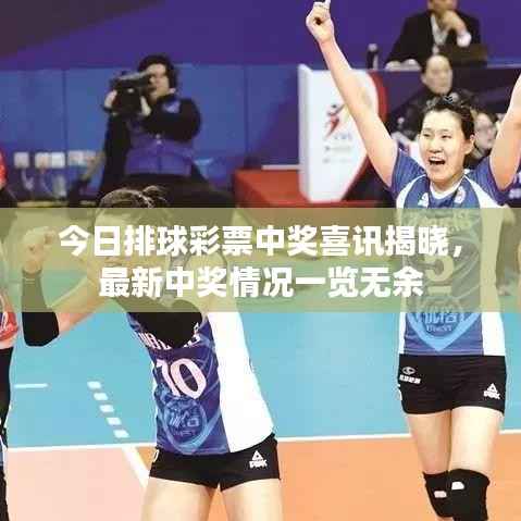 今日排球彩票中奖喜讯揭晓,最新中奖情况一览无余