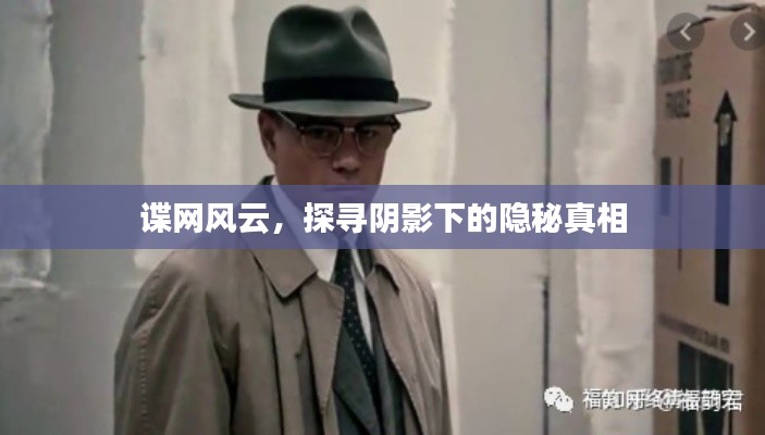谍网风云，探寻阴影下的隐秘真相