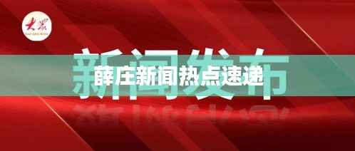 薛庄新闻热点速递