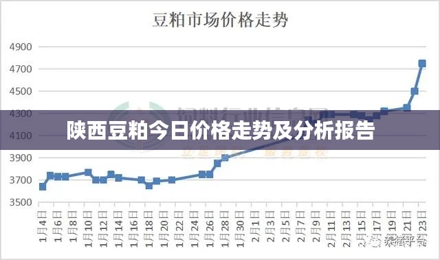 雅人清致 第4页
