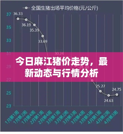 今日麻江猪价走势，最新动态与行情分析