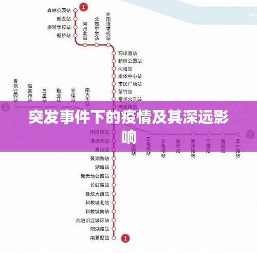 突发事件下的疫情及其深远影响