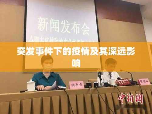 突发事件下的疫情及其深远影响