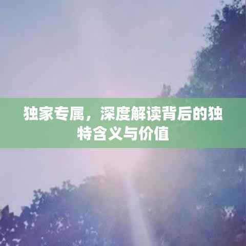 独家专属，深度解读背后的独特含义与价值