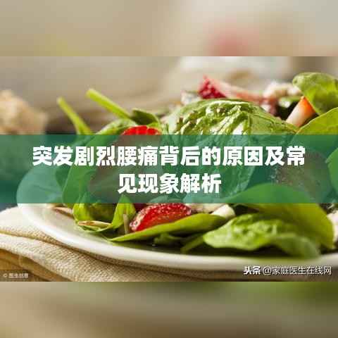 突发剧烈腰痛背后的原因及常见现象解析