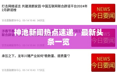 神池新闻热点速递，最新头条一览