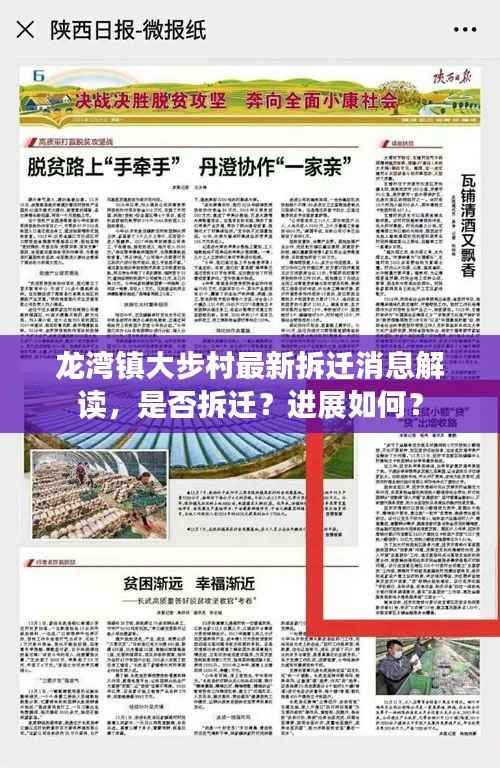 龙湾镇大步村最新拆迁消息解读,是否拆迁?进展如何?