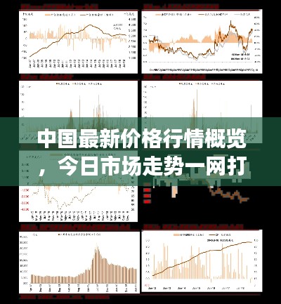 中国最新价格行情概览，今日市场走势一网打尽