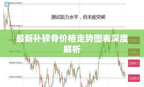 最新补碎骨价格走势图表深度解析