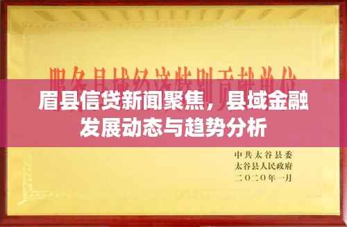眉县信贷新闻聚焦，县域金融发展动态与趋势分析