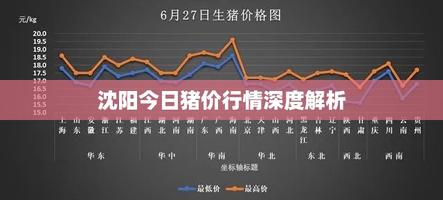 沈阳今日猪价行情深度解析