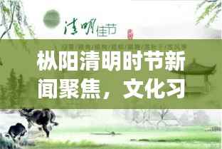 枞阳清明时节新闻聚焦，文化习俗与缅怀先烈共融