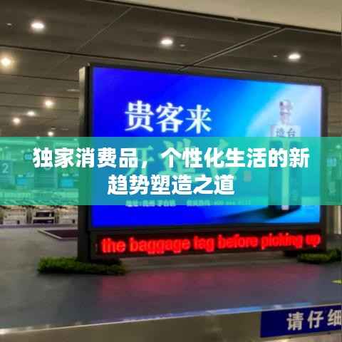 独家消费品，个性化生活的新趋势塑造之道