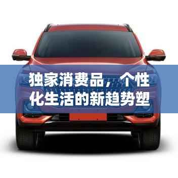 独家消费品,个性化生活的新趋势塑造之道