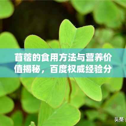 苜蓿的食用方法与营养价值揭秘，百度权威经验分享