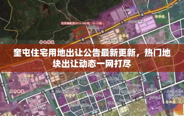 粗心大意 第4页