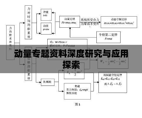 动量专题资料深度研究与应用探索