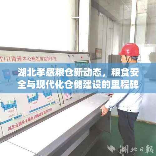 湖北孝感粮仓新动态，粮食安全与现代化仓储建设的里程碑进展