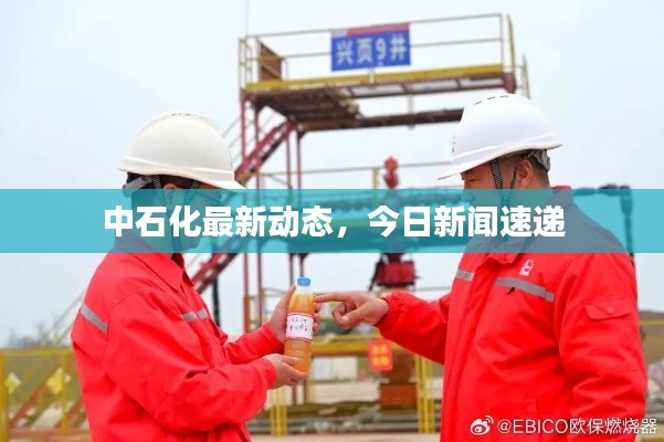 中石化最新动态，今日新闻速递