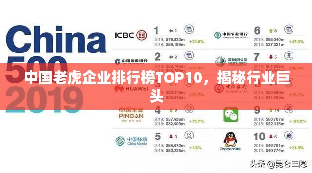 中国老虎企业排行榜TOP10，揭秘行业巨头