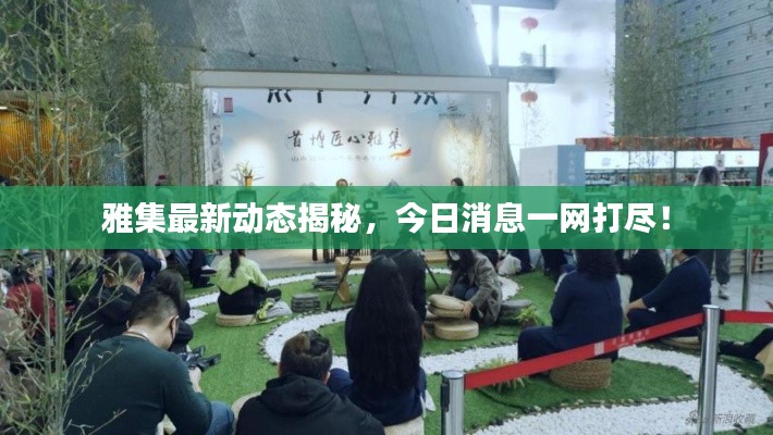 雅集最新动态揭秘，今日消息一网打尽！