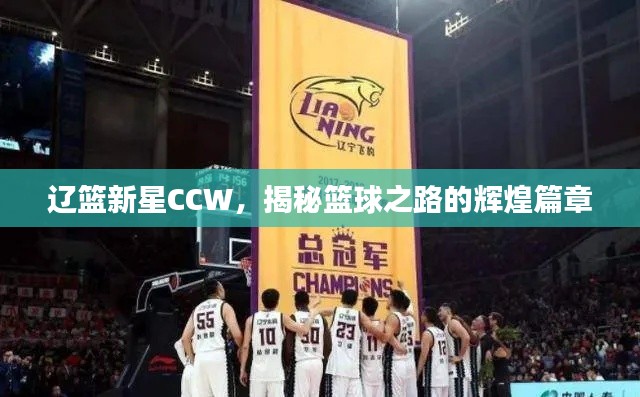 辽篮新星CCW，揭秘篮球之路的辉煌篇章