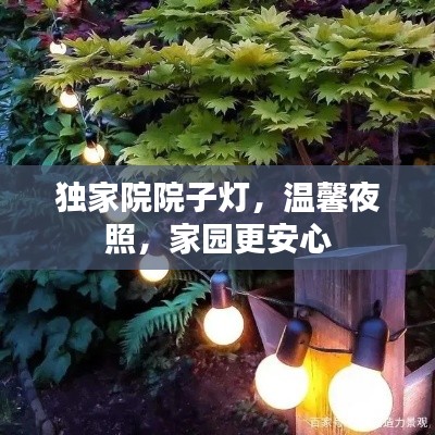 独家院院子灯，温馨夜照，家园更安心