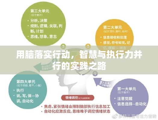 用脑落实行动，智慧与执行力并行的实践之路