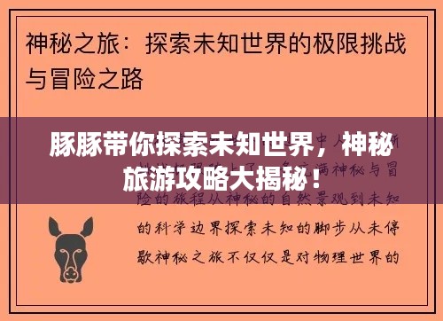 豚豚带你探索未知世界，神秘旅游攻略大揭秘！