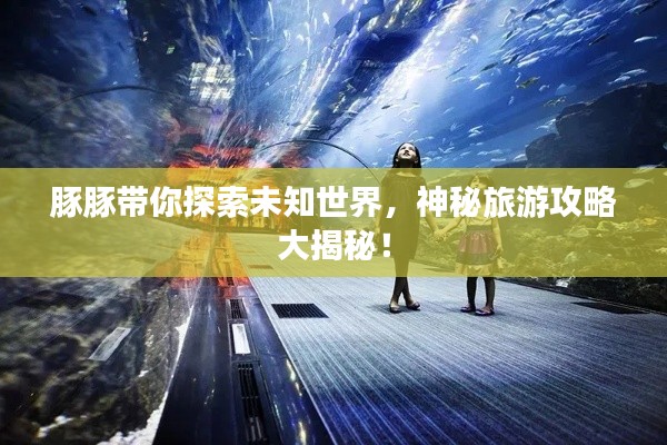 豚豚带你探索未知世界,神秘旅游攻略大揭秘!