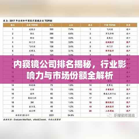 内窥镜公司排名揭秘，行业影响力与市场份额全解析