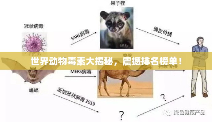 世界动物毒素大揭秘，震撼排名榜单！