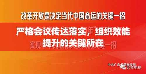 就楼磨刀 第5页