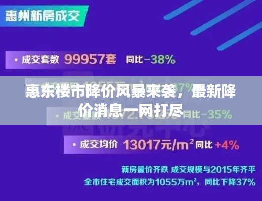 惠东楼市降价风暴来袭,最新降价消息一网打尽