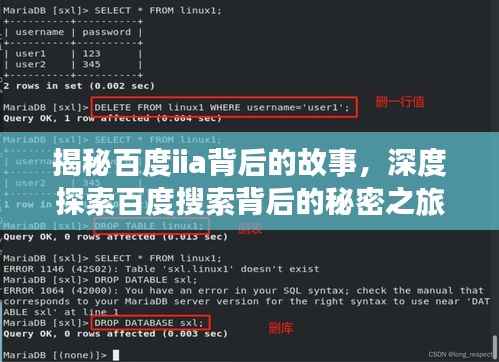 揭秘百度iia背后的故事，深度探索百度搜索背后的秘密之旅