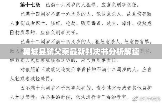 翼城县弑父案最新判决书分析解读