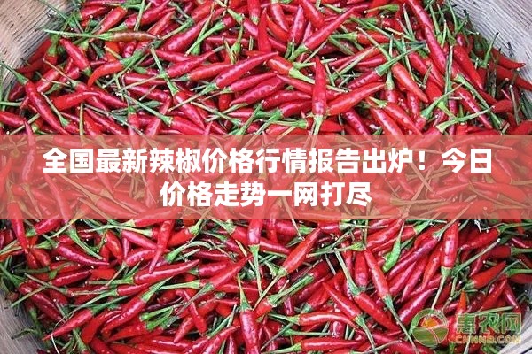 全国最新辣椒价格行情报告出炉！今日价格走势一网打尽